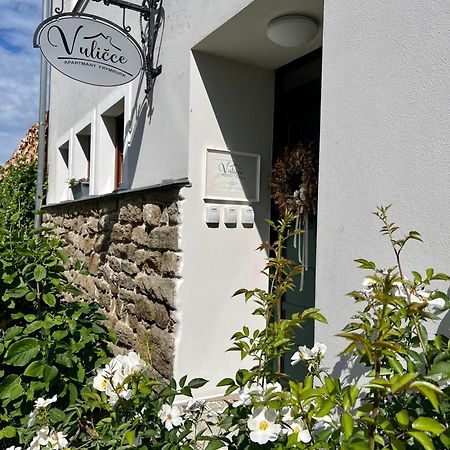 Apartmany V Ulicce Frymburk Luaran gambar