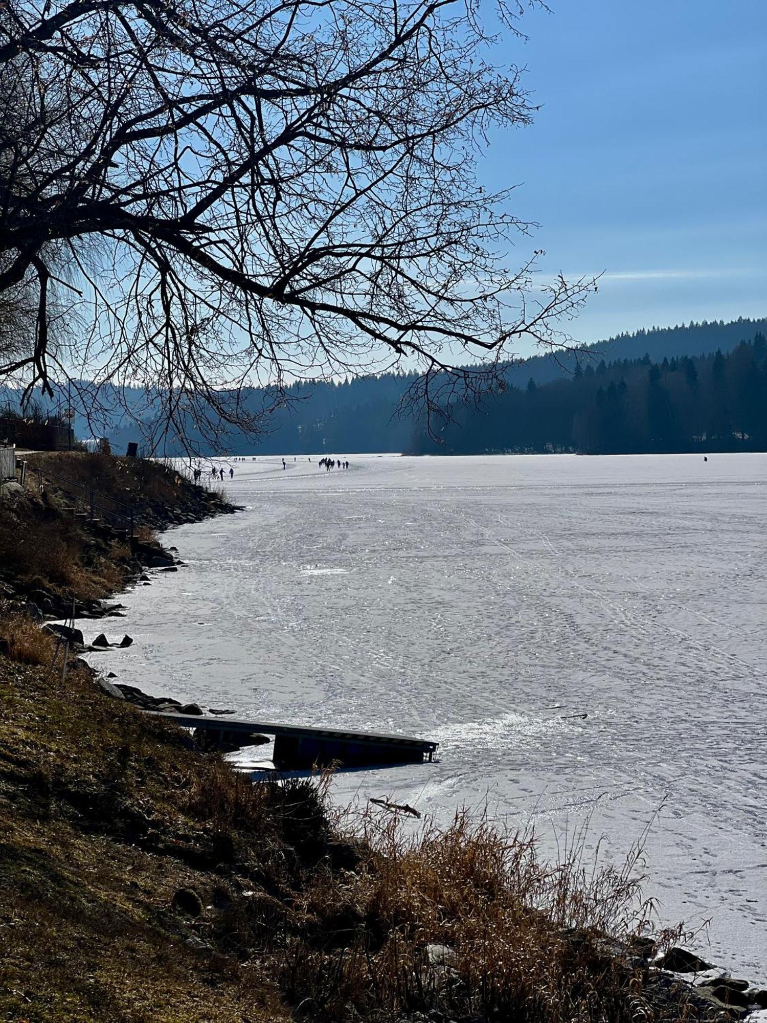 Apartmany V Ulicce Frymburk Luaran gambar